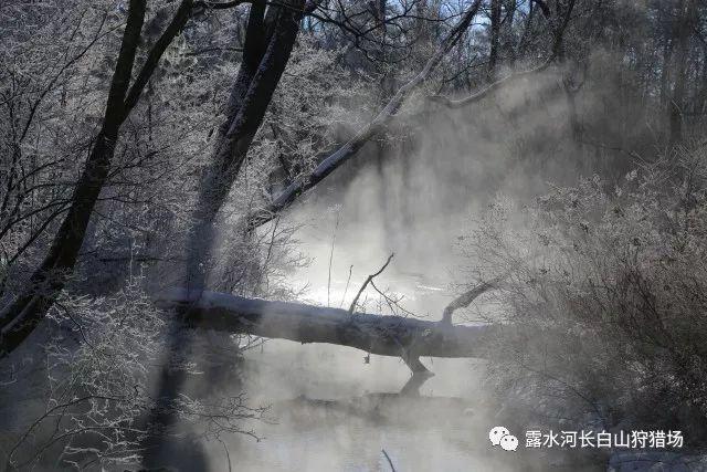 快乐男孩救援