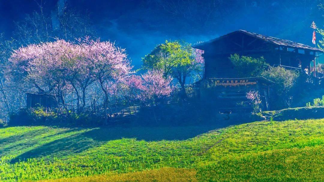 皇上吉祥2